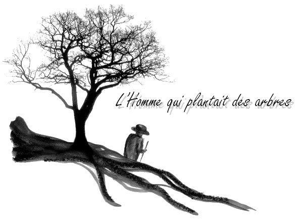 Tekstbegrip Frans. L'Homme qui plantait des arbres Livre de Jean Giono, Frans leren, Vivienne Stringa