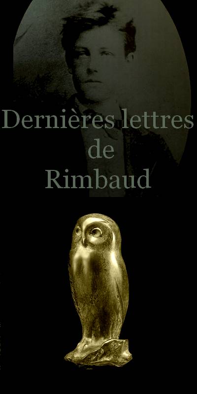 Arthur Rimbaud, Dernières lettres commençant à Harar, ville située à l'Est de l'Éthiopie, le 25 février 1890, jusqu'à celles envoyées de Marseille.