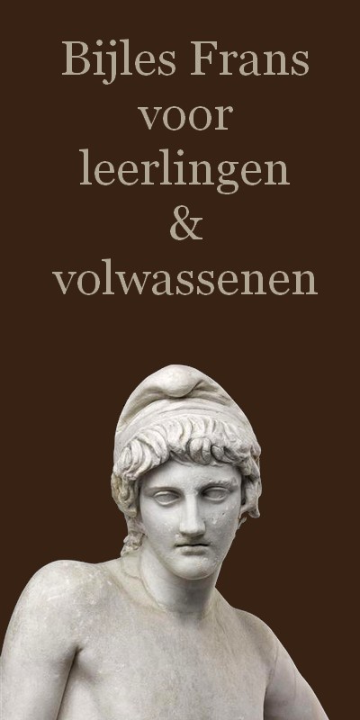 Bijles Frans, Bijles Frans voor leerlingen, Bijles Frans voor volwassenen, Franse les, vertalingen F-N N-F, vertaler Frans, Vraag en antwoord, uitleg over het Frans, Frans leren, Vivienne Stringa