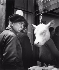 Oefeningen v stringa doisneau