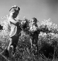 Oefeningen v stringa doisneau